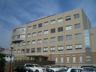 法科大学院